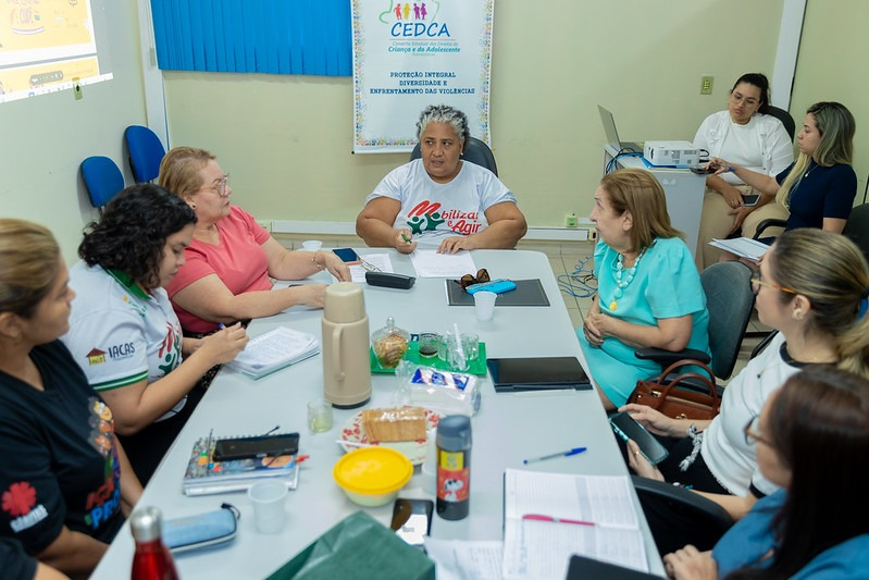 Coordenadora da COIJ representa o TJAM na 1.ª Reunião Extraordinária do Conselho Estadual dos Direitos da Criança e do Adolescente