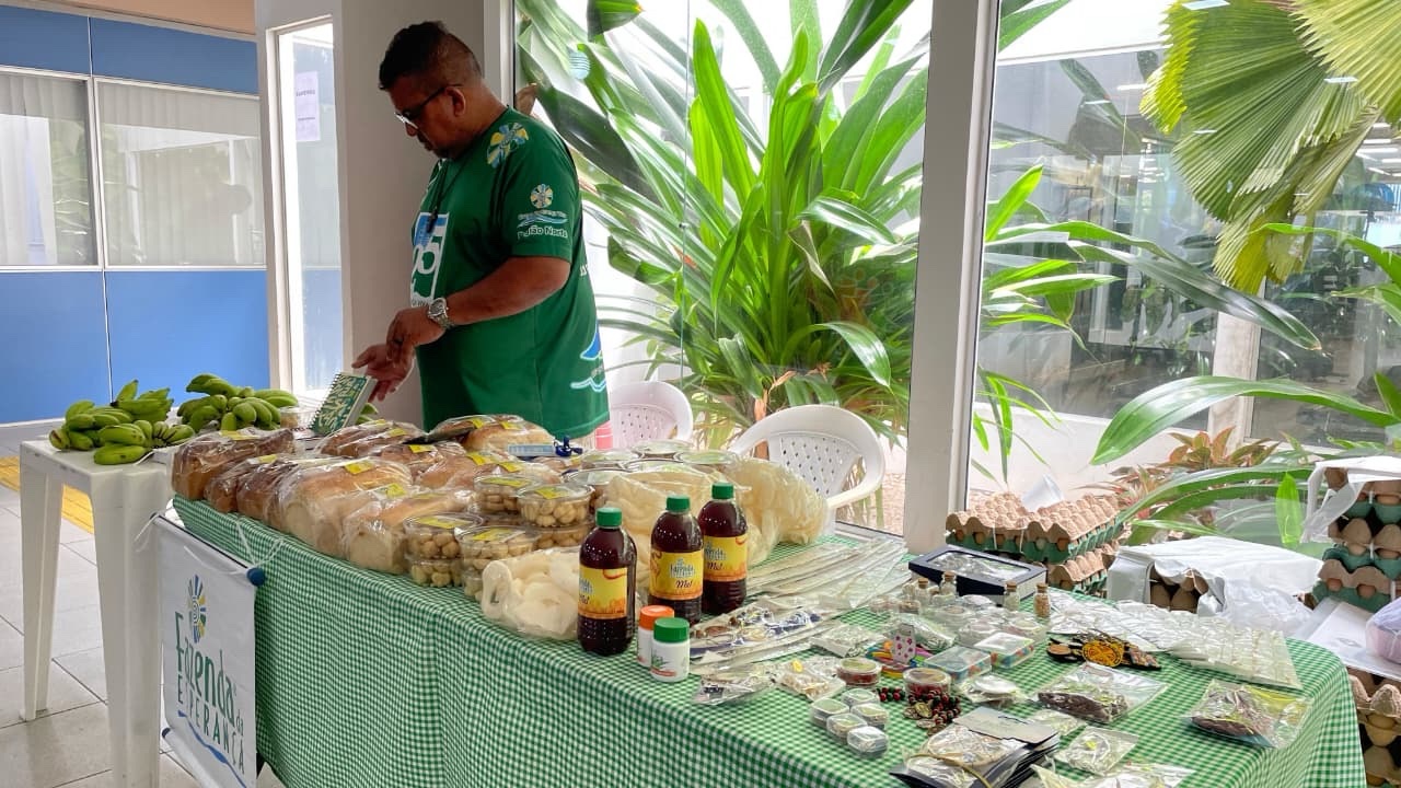 Assembleia Legislativa realiza Bazar ‘Menos é Mais’ e incentiva a economia criativa